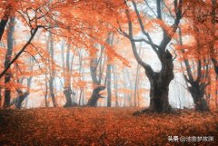 老鼠與奶酪的故事（勵志小故事）