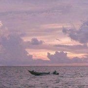 墻角的花文案（我自風情萬種，與世無爭）