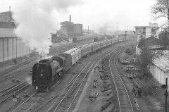 藍天作文網（一份關于藍天的故事）